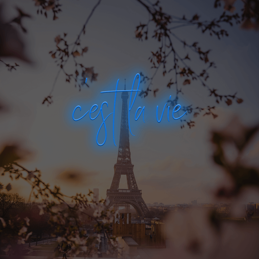 C'est La Vie franske LED neonskilte - lavet i London neonskilte